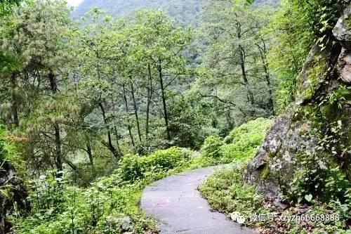 外墙保温装饰一体板优势外墙保温装饰一体板适用范围